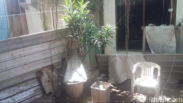 Datang ke Rumah Angeline di Bali, Menteri Yuddy Diusir Satpam Datang ke Rumah Angeline di Bali, Menteri Yuddy Diusir Satpam