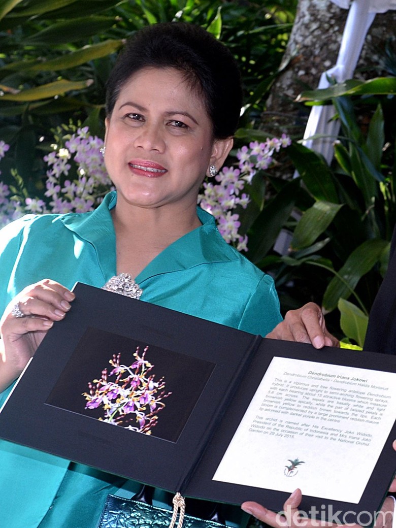 Selamat Ulang Tahun Ibu Negara Iriana! Selamat Ulang Tahun Ibu Negara Iriana!