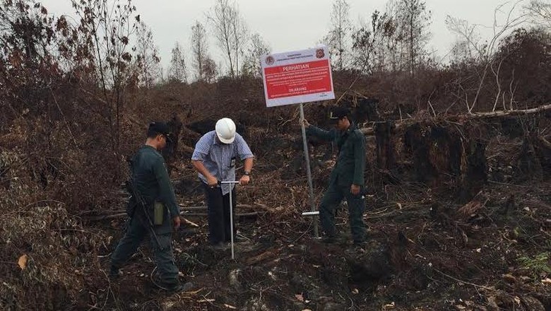 Jokowi Prioritaskan 4 Program Atasi Bencana Asap di Sumatera dan Kalimantan
