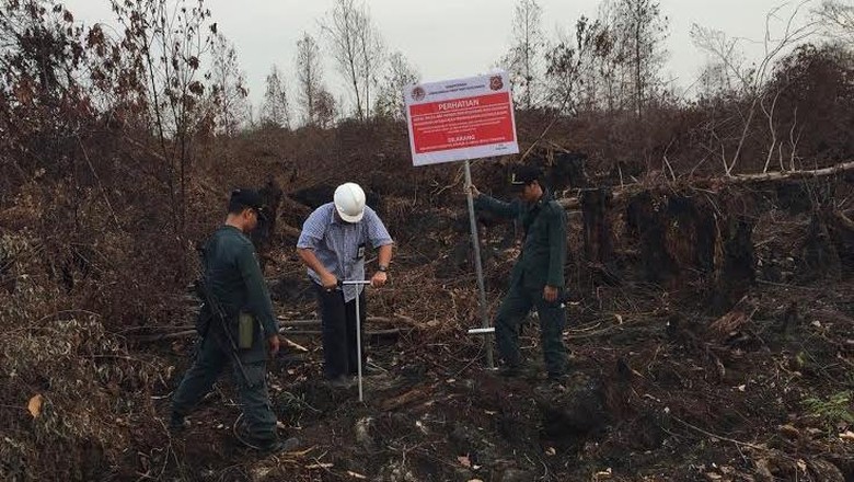 Jokowi Prioritaskan 4 Program Atasi Bencana Asap di Sumatera dan Kalimantan Jokowi Prioritaskan 4 Program Atasi Bencana Asap di Sumatera dan Kalimantan