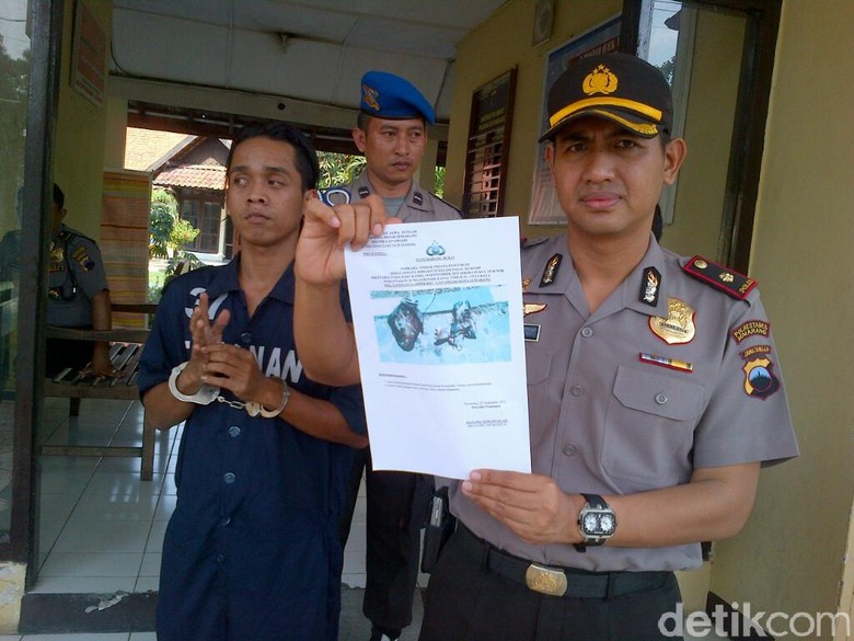 ternak bebek tanpa bau cara penggemukan sapi dengan cepat
