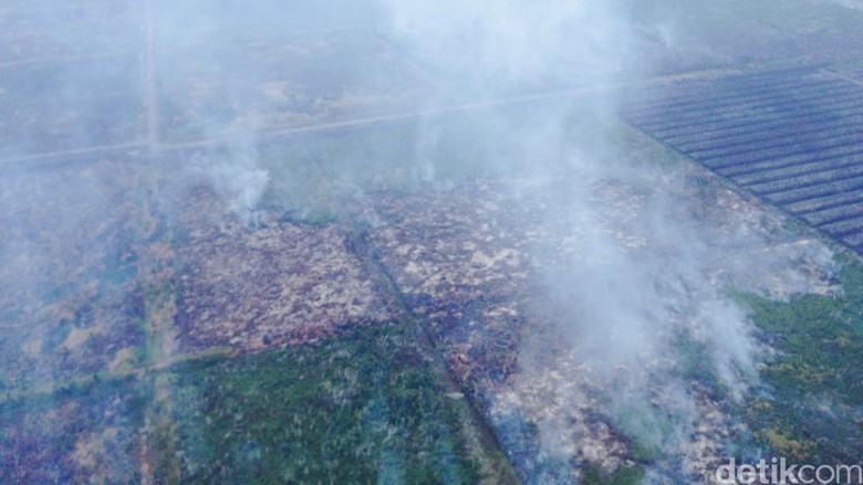 Pansus Kabut Asap Penting untuk Ungkap Mafia Pembakar Hutan