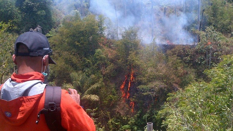 Semakin Menurun, Ini Daftar Hotspot dari Sumatera Hingga Papua Semakin Menurun, Ini Daftar Hotspot dari Sumatera Hingga Papua