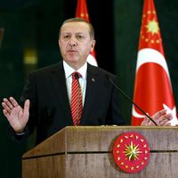 Erdogan Berharap Rusia Tak Terus Bermain Api
