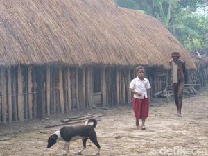 Kematian Misterius Puluhan Orang Juga Pernah Terjadi di Yahukimo Papua