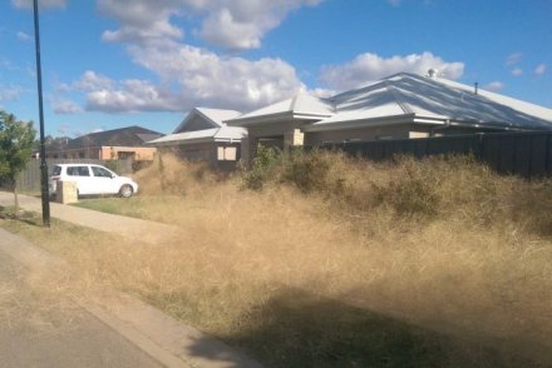 Rumput Kering Menginvasi Kota Kecil di Victoria Australia