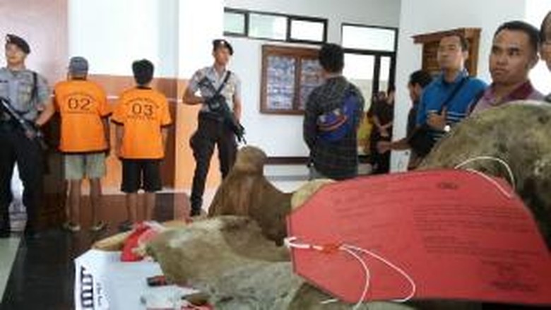 Polda Jambi Tangkap 2 Pembunuh Gajah Sumatera