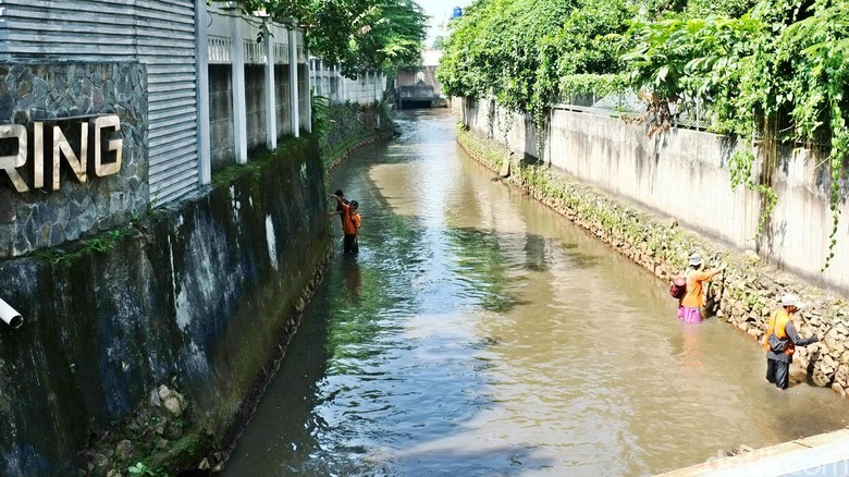 Menengok Sungai di Jati Padang Jaksel yang Bersih dari Sampah