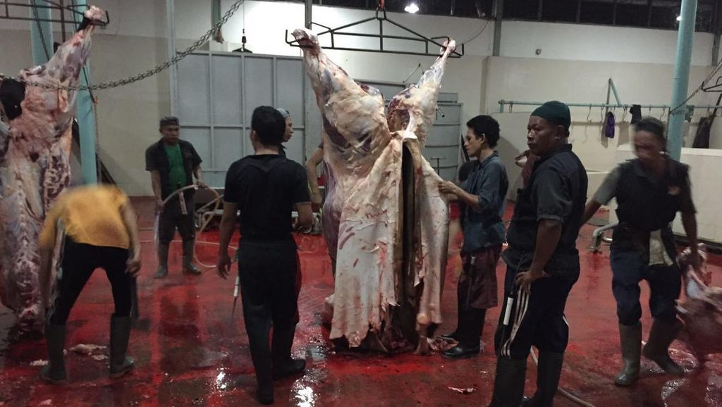 Satgas dari Bareskrim Sambangi Feedloter Sapi Tangerang, Cek Distribusi Satgas dari Bareskrim Sambangi Feedloter Sapi Tangerang, Cek Distribusi