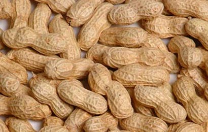 Makan Kacang, Pencernaan Lancar & Jantung Sehat