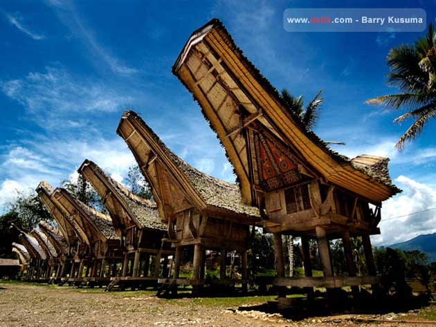 Toraja traditional house, Tongkonan.