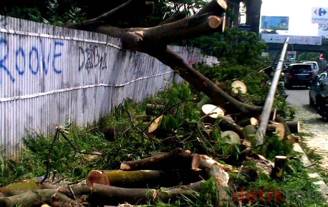 Pohon Tumbang di Pondok Indah