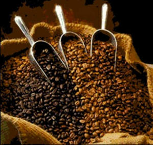 Kopi Indonesia: 'The Art of Coffee Blending'