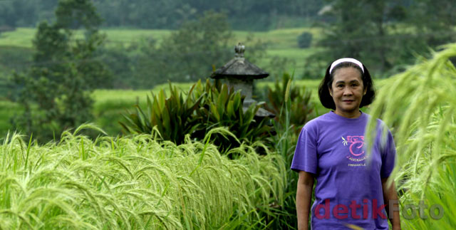 Grace, Sosok di Balik Hamparan Sawah Bali