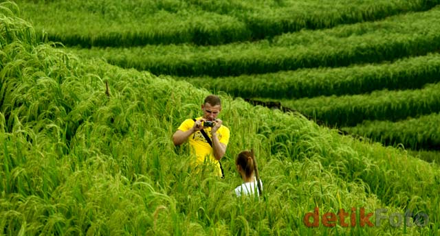 Grace, Sosok di Balik Hamparan Sawah Bali