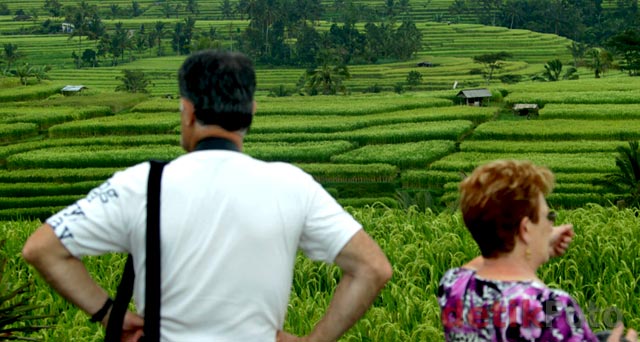 Grace, Sosok di Balik Hamparan Sawah Bali