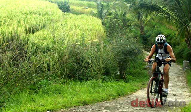 Grace, Sosok di Balik Hamparan Sawah Bali