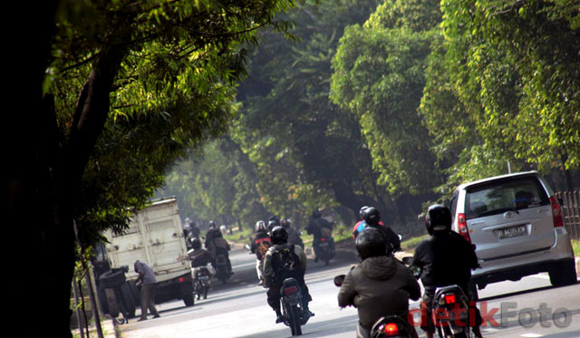 Menunggu Ditebang, Kota Kematian Segera Datang