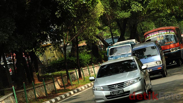 Menunggu Ditebang, Kota Kematian Segera Datang