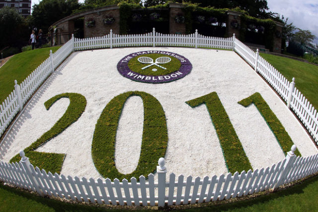 Fanatik pada Tenis Wimbledon