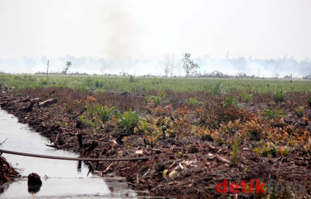 Bagansiapiapi Riau Diselimuti Asap Tebal