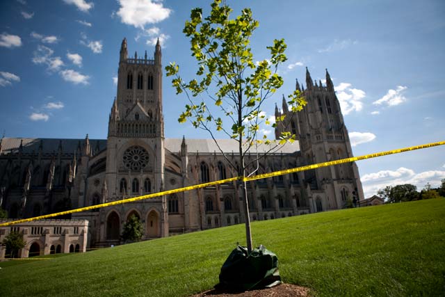 Gempa 5,9 SR Guncang AS