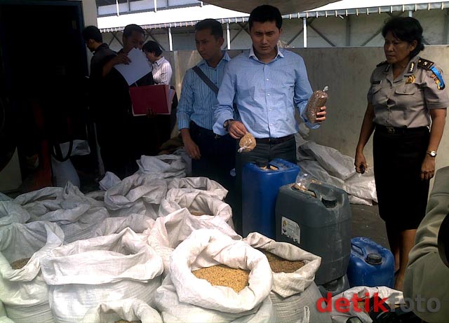 Awas! Ketumbar Mengandung Zat Kimia