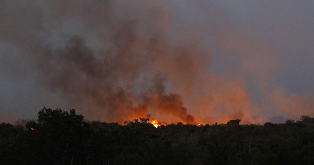 Kebakaran Hutan di Texas