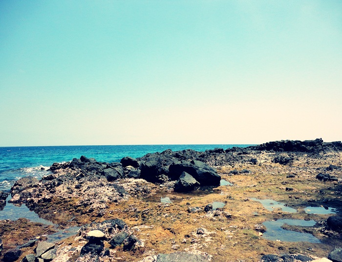 Karang yang \\\\\\\\\\\\\\\\\\\\\\\\\\\\\\\\\\\\\\\\\\\\\\\\