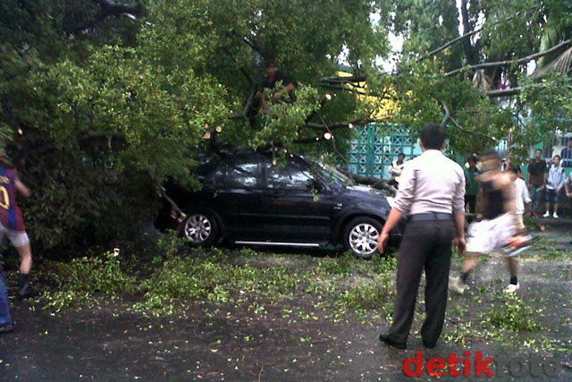 2 Pohon Tumbang Timpa Mobil di Bulungan