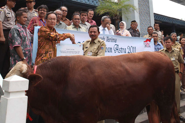 Hewan Qurban Astra