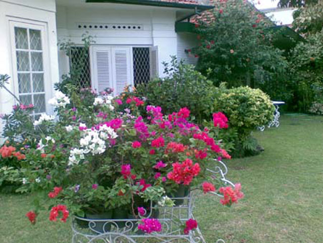 Wajah Bopeng Si Rumah Cantik