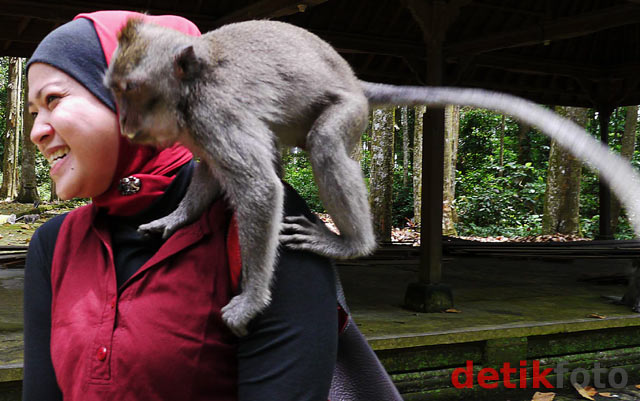 Legenda Monyet Pura Bukit Sari