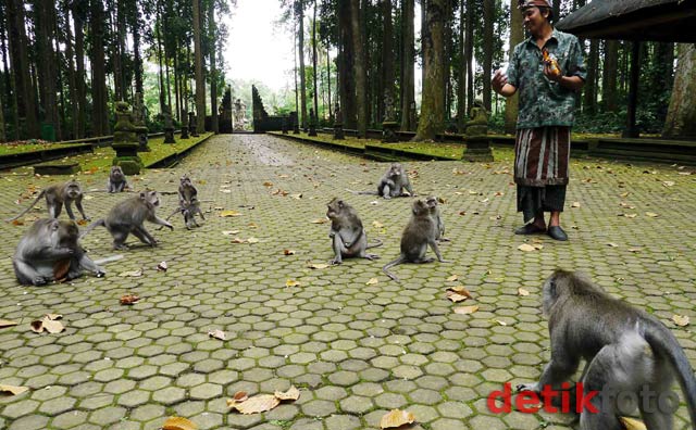 Legenda Monyet Pura Bukit Sari