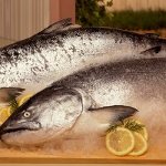 cara ampuh meredahkan flu