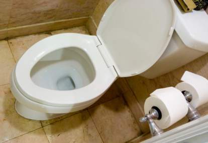 Gambar Toilet Anggota DPR yang akan Direnovasi