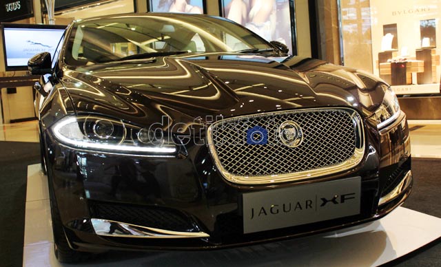 Jaguar 'Meraung' di Indonesia