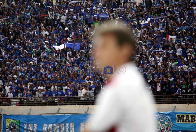 Euforia Suporter Viking