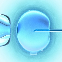 http://images.detik.com/content/2012/02/12/1299/bayi-tabung-dalam-ts.jpg