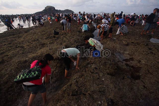 Ribuan Orang Berkumpul di Festival Bau Nyale