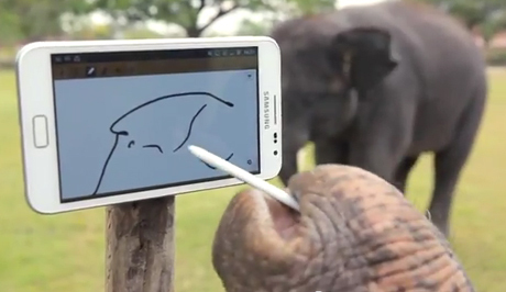 Video Gajah Asyik Main dengan Galaxy Note
