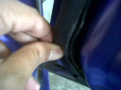 Tips Mencegah Hewan Bersarang di Mobil Tips Mencegah Hewan Bersarang di Mobil