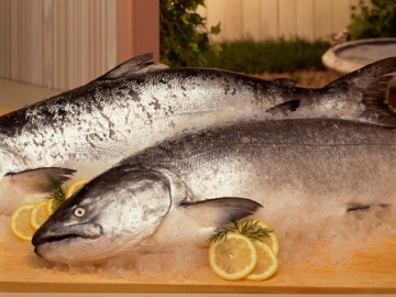 Tips Memilih dan Membersihkan Salmon