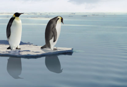 Climate Change & Extreme Obesity