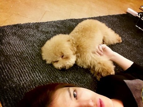 http://images.detik.com/content/2013/02/25/1180/jaejoongpuppy4d.jpg