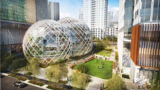 kantor baru amazon