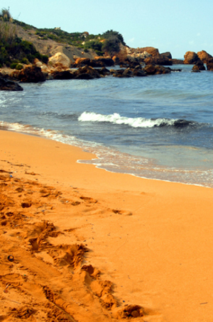 http://images.detik.com/content/2013/06/26/1383/192251_pasirpantai6.jpg