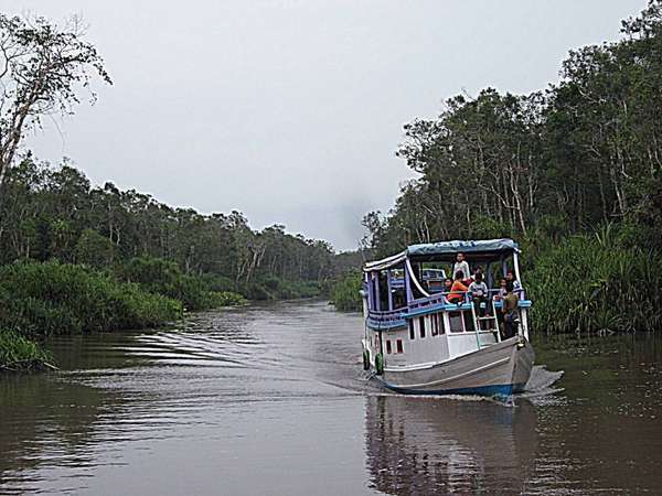 http://images.detik.com/content/2013/07/03/1382/182015_tanjungputing.jpg