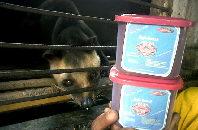 http://images.detik.com/content/2013/11/16/4/luwak3.jpg