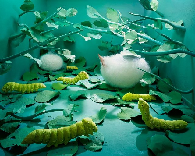 Semua obyek yang digunakan dalam setting foto dibuat sendiri oleh Jee. (kredit foto: jee young lee) http://images.detik.com/content/2013/12/09/1146/4we.jpg